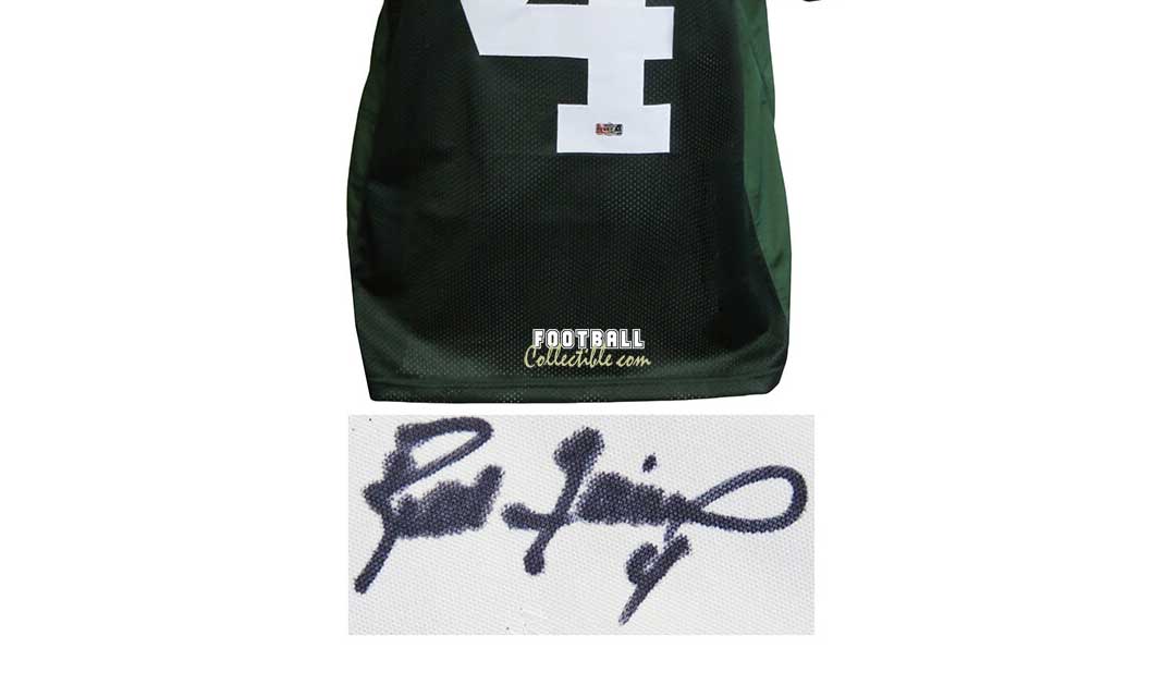 Brett Favre Signed Green Custom Jersey (Favre Hologram) at