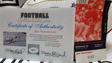 Autographed Footballs Joe Theismann Autographed Panel Football