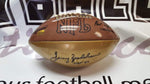Autographed Footballs Terry Bradshaw Autographed Gold Panel Football