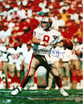 Autographed Photographs Steve Young Autographed San Francisco 49ers Action 16x20 Photograph